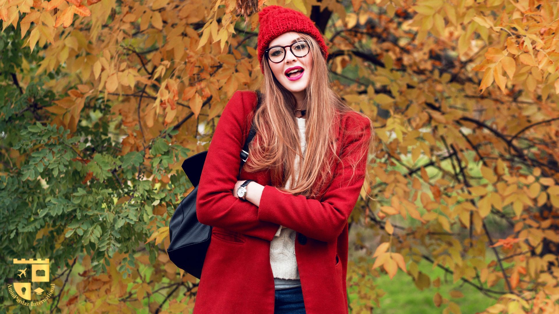 بزرگ‌ترین خطر اپلای در پایان سال چیست؟