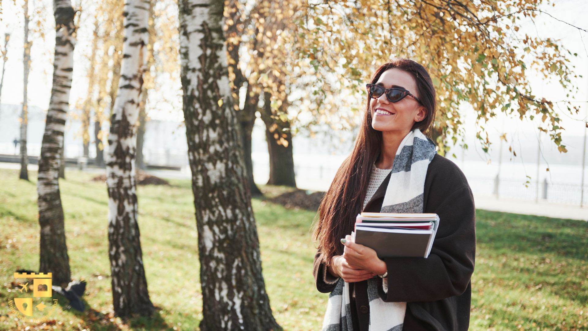 اپلای فوری یعنی چه و چه تفاوتی با اپلای عادی دارد؟